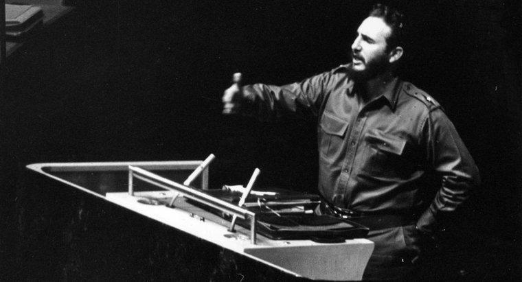 ¿Qué hizo Fidel Castro que fue significativo?