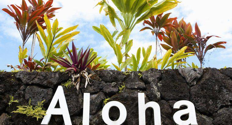 ¿Cuántas letras hay en el alfabeto hawaiano?
