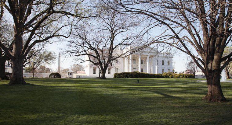 ¿Qué presidentes no vivieron en la Casa Blanca?
