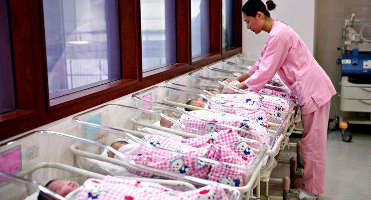 ¿Cuál es la cantidad más alta de bebés que nacen en un solo nacimiento?