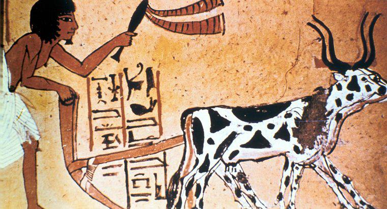 ¿Qué cultivos crecieron los antiguos egipcios?