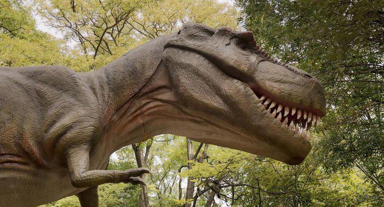 ¿Cuál es el pariente más cercano del Tyrannosaurus Rex?