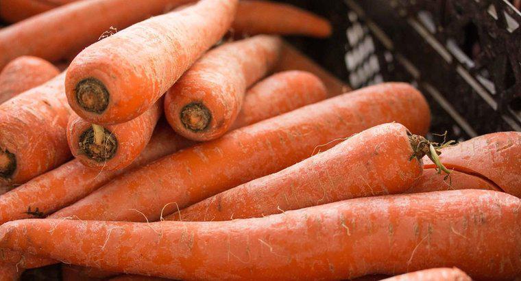 ¿Pueden las zanahorias frescas ser congeladas?