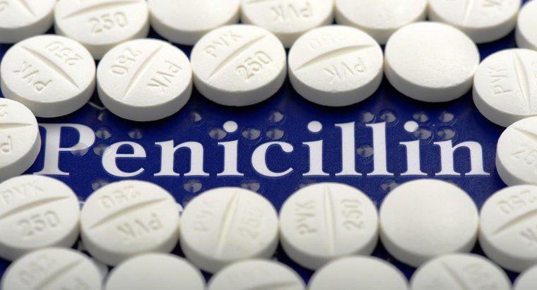 ¿Puede la penicilina tratar la vaginosis bacteriana?