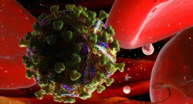 ¿Cuánto tiempo puede sobrevivir el VIH fuera del cuerpo humano?