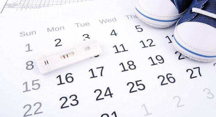 ¿Qué es una calculadora de ovulación?