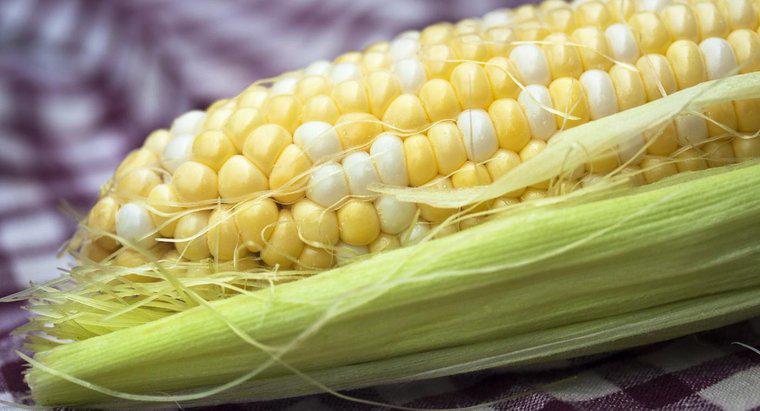 ¿Cómo recalentar el maíz en la mazorca?