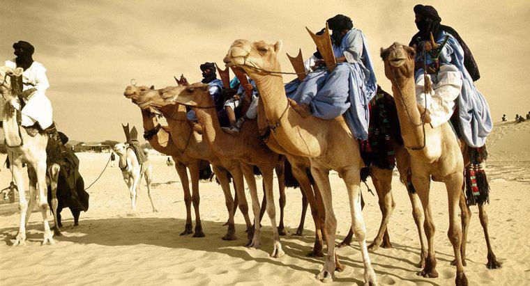 ¿Alguien realmente vive en el desierto del Sahara?