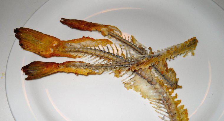 ¿Es peligroso tragar huesos de pescado?