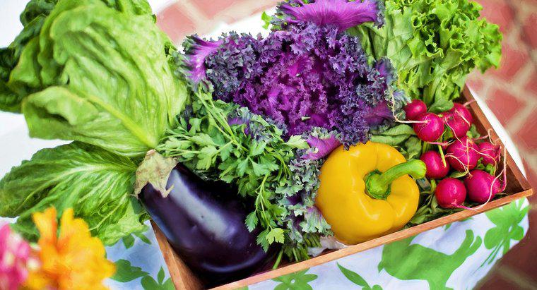 Dietas y salud: una dieta a base de plantas
