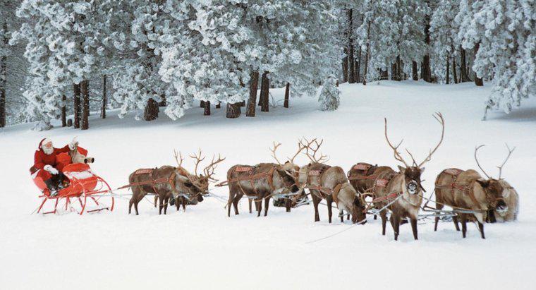 ¿Cuáles son los nombres de los renos de Papá Noel?