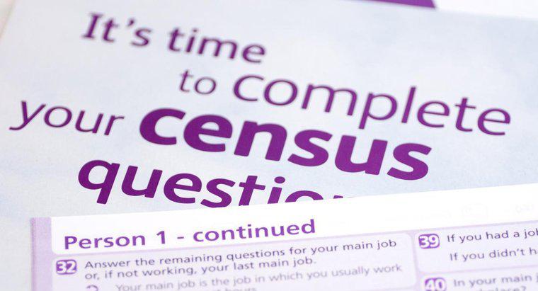 ¿Cuál es la importancia de un censo de población?
