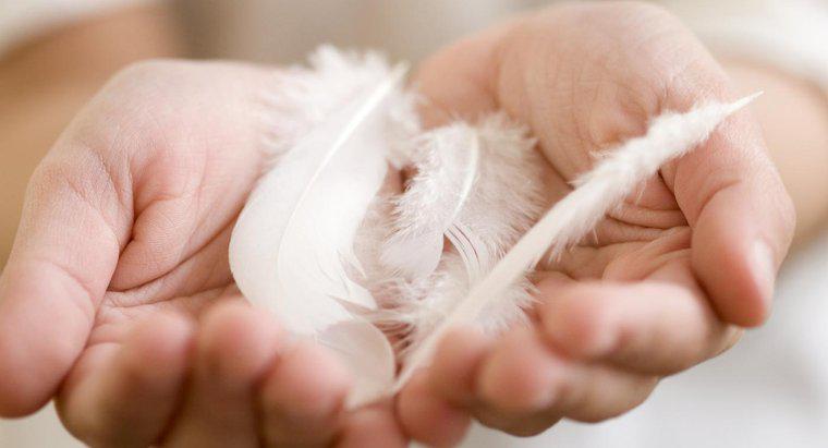 ¿Cuál es el significado espiritual de una pluma blanca?
