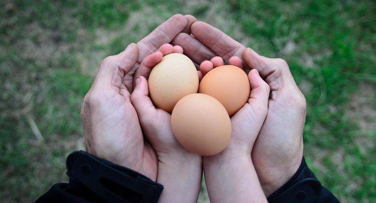 ¿Cuánto pesa un huevo de gallina?