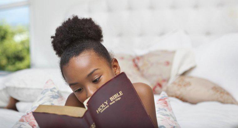 ¿Cuáles son algunos tipos diferentes de biblias?