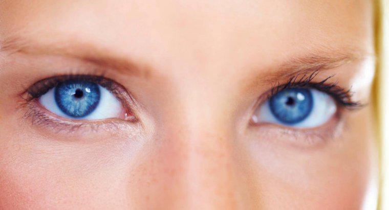 ¿Cuál es la función de los ojos?