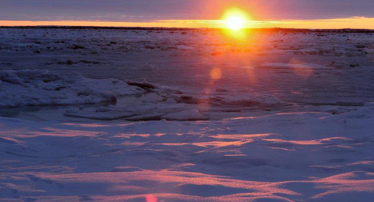 ¿Cuáles son las características físicas de las tierras bajas árticas?