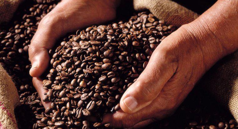 ¿Puedes moler los granos de café en una licuadora?