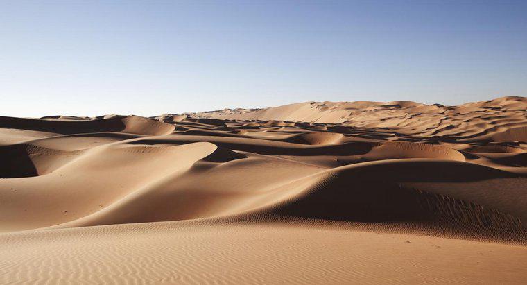 ¿Cuáles son algunos hechos sobre el desierto de Arabia?