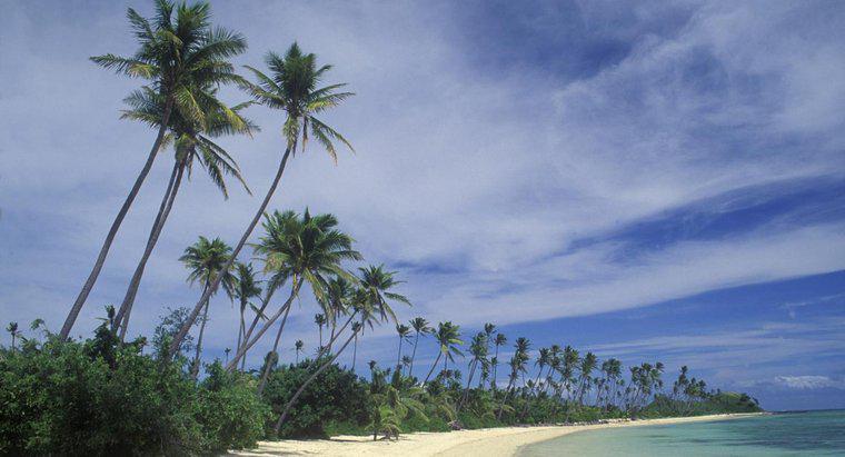 ¿Cuáles son algunas características físicas de Fiji?