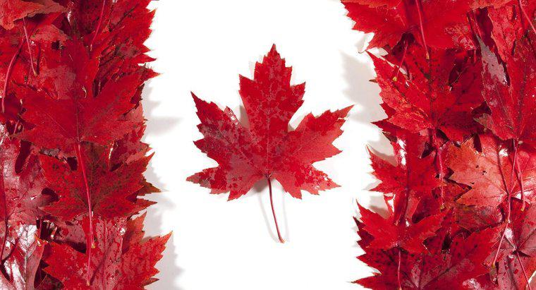 ¿Por qué es la hoja de arce importante para Canadá?