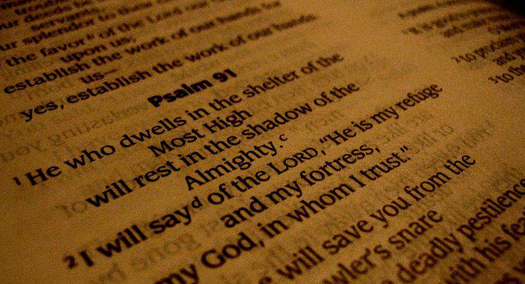 ¿Qué es el libro de los salmos?