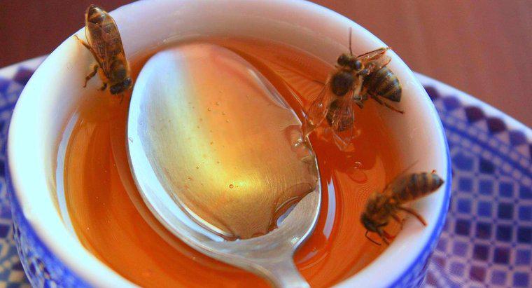 ¿Cuál es la mejor miel en el mundo?
