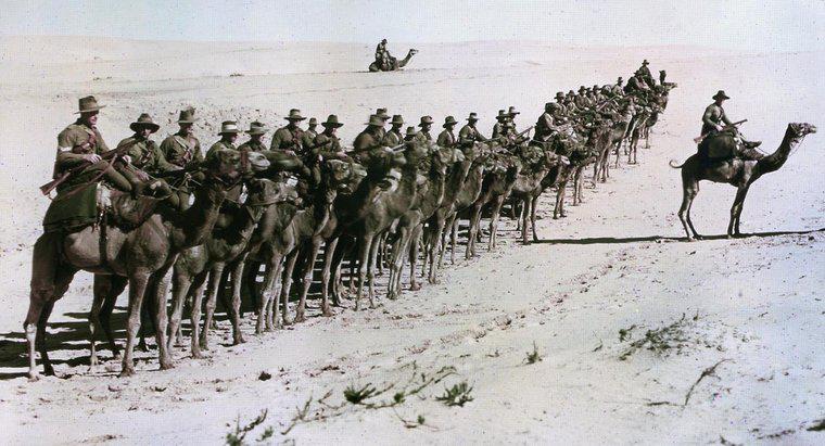 ¿Cómo contribuyó el imperialismo a la Primera Guerra Mundial?