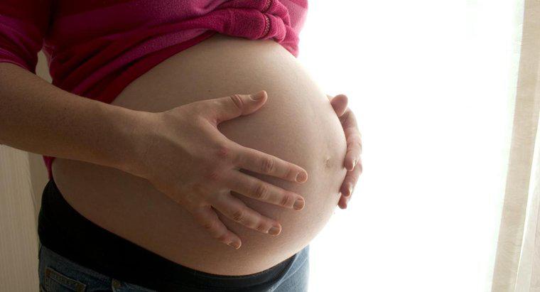 ¿Cuál es el embarazo más largo de la historia?