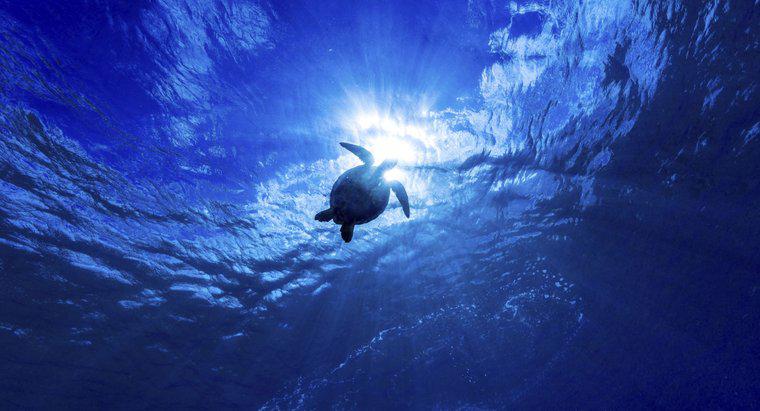 ¿Cuál es el océano más profundo del mundo?