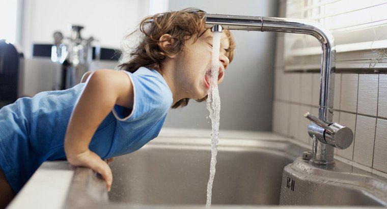 ¿Cuántos litros de agua deben beber las personas cada día?