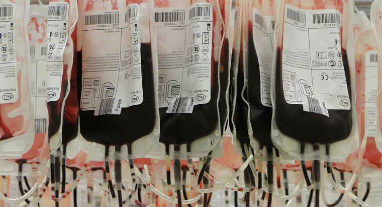 ¿Qué es el tipo de donante de sangre universal?