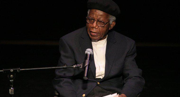 ¿De qué trata la historia corta "El votante" de Chinua Achebe?
