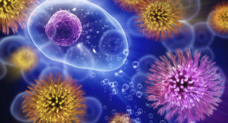 ¿Cuánto tiempo puede vivir el virus del resfriado fuera del cuerpo?