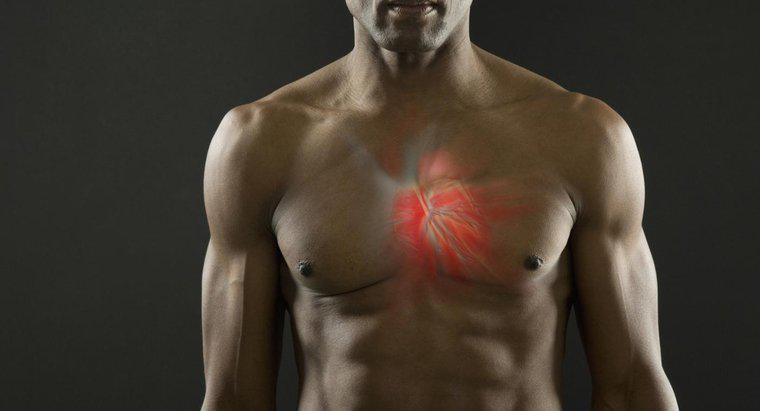 ¿Se puede tetanizar el músculo cardíaco?