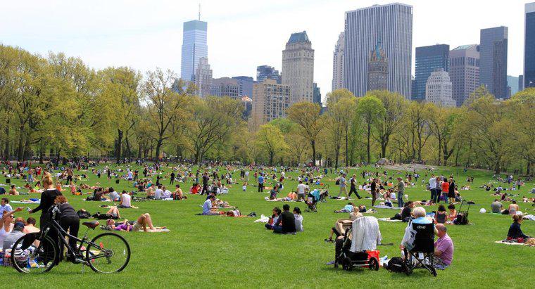 ¿Qué tan grande es el Central Park en la ciudad de Nueva York?
