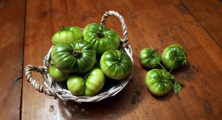 ¿Cómo se congelan los tomates verdes?