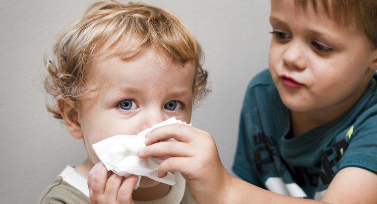 ¿Cuáles son los síntomas de la gripe en los niños pequeños?