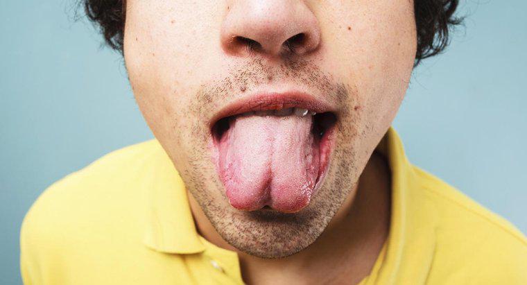 ¿Cuáles son algunos remedios para una lengua seca y áspera?