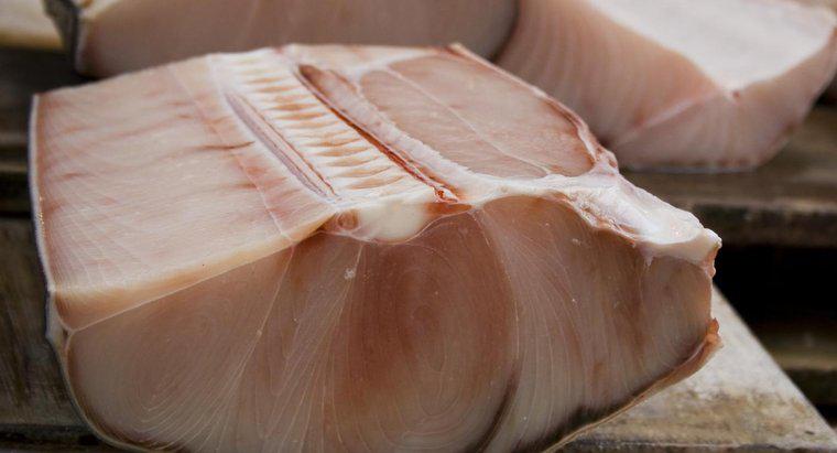 ¿Es seguro comer carne de tiburón?