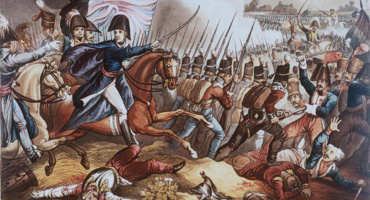 ¿Cuáles fueron las causas de las guerras napoleónicas?