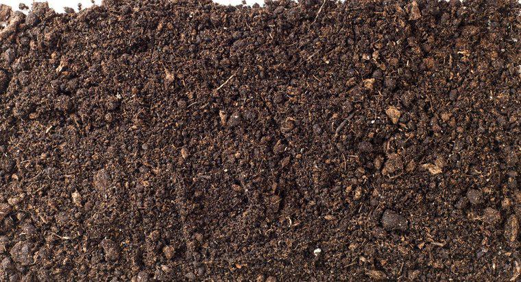 ¿Qué causa que la tierra para macetas crezca moho?