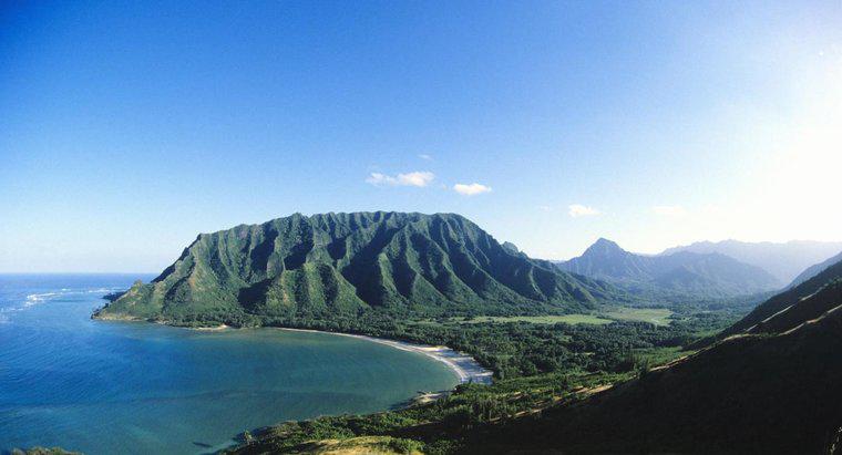 ¿Qué posee la élite hawaiana?