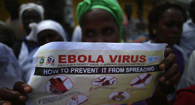 ¿Cómo pueden las personas protegerse de la enfermedad del virus del Ébola?