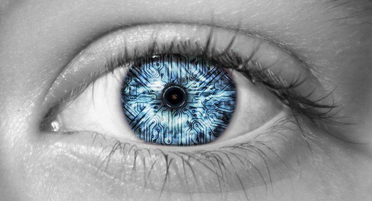 ¿Qué permite al ojo humano ver los colores?