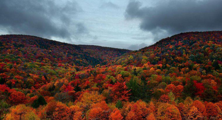 ¿Cómo es el clima en Vermont en otoño?