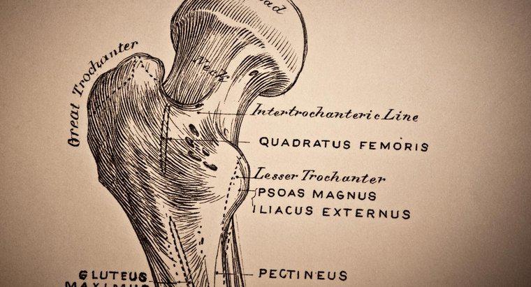 ¿Qué es la osteopenia del cuello femoral?