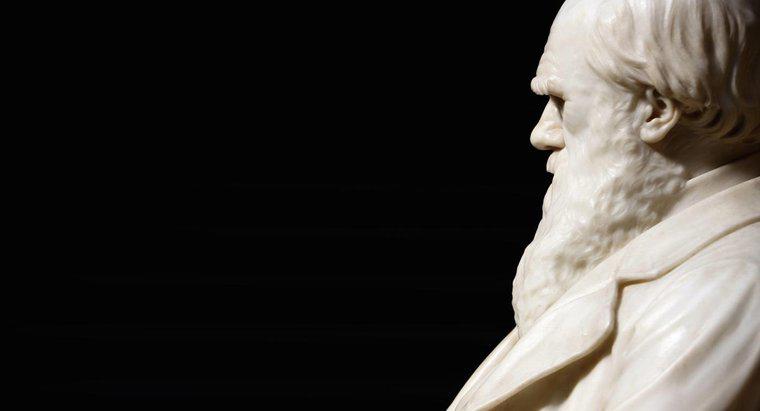 ¿A dónde fue Charles Darwin a la escuela?