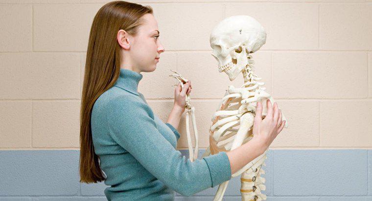 ¿Qué es un puntaje de densidad ósea normal para una mujer?