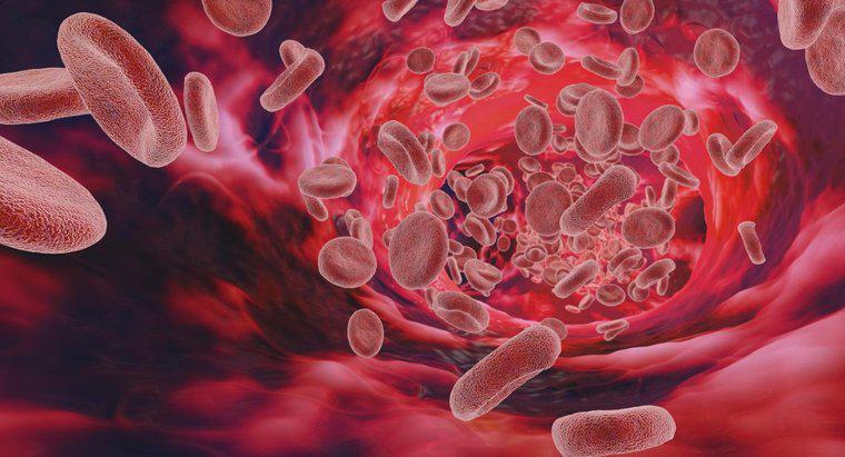 ¿Qué causa un alto nivel de proteína en la sangre?
